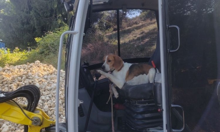 Notre mascotte est aux manettes sur notre chantier de mur en gabion à Hurtières 38570