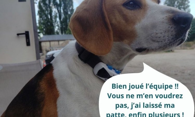 La mascotte de Terra'Prest encourage son équipe en félicitant les travaux de terrassement et d'aménagement extérieur réalisés à Goncelin 38570