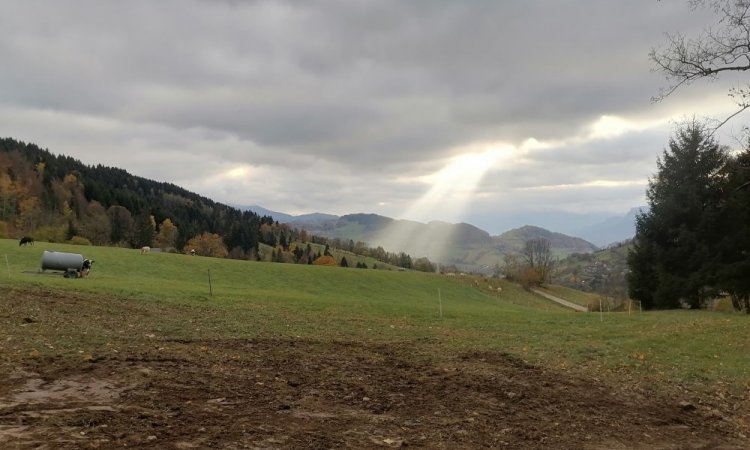 TERRA'PREST, assainisseur et terrassier entre Grenoble et Chambéry : Installation d'une cuve de récupération d'eau de pluie dans un terrain à Froges